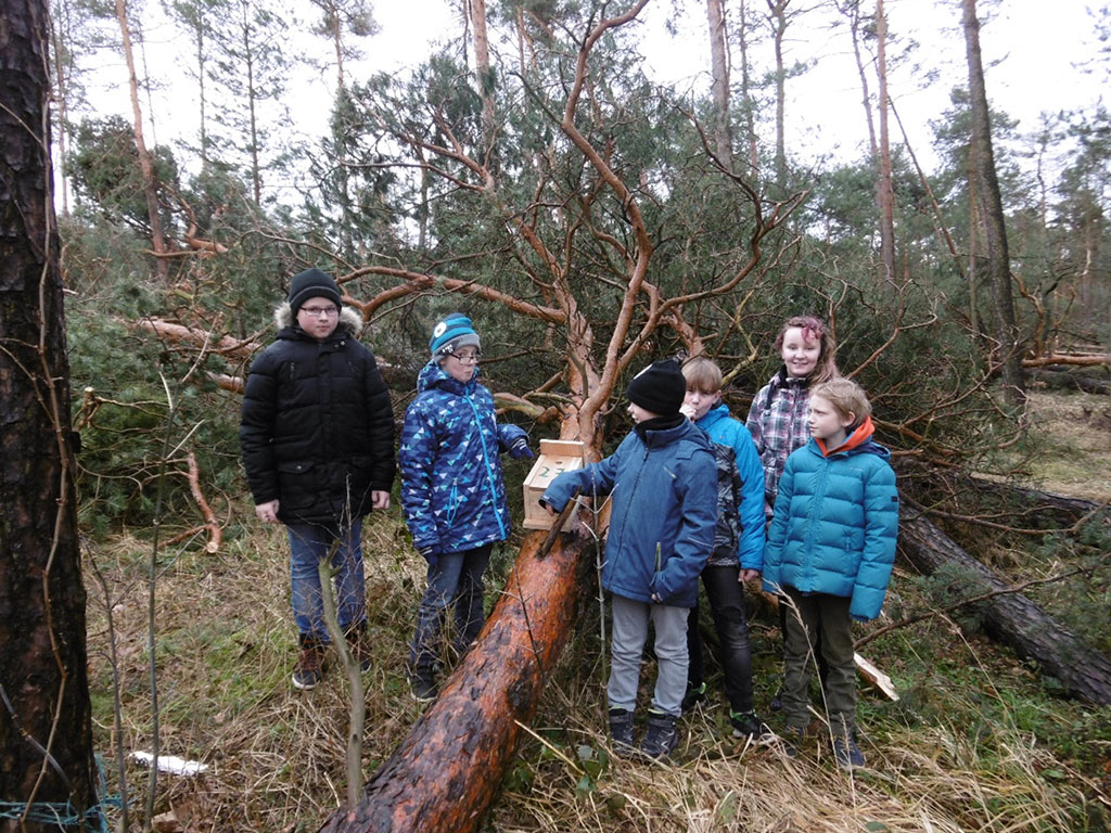 Sturm Friederike